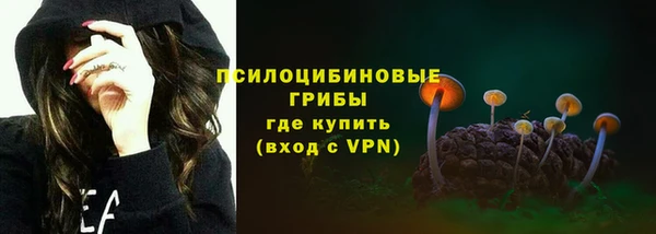 дурь Алексеевка