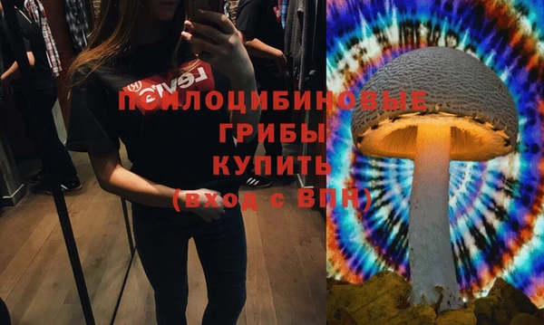 бутират Алексин